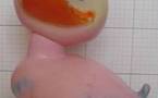Pouet Pouet 'Grand canard'
