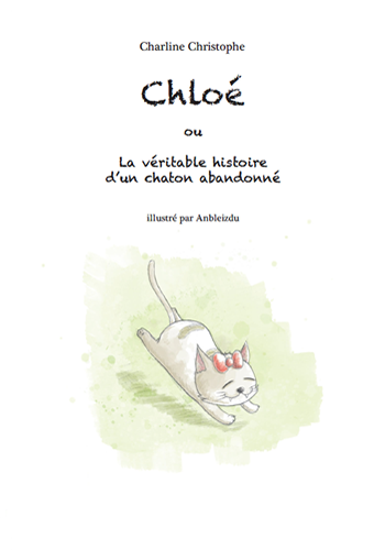 Maison de l'Ange : les écrivain(e)s locaux se présentent !