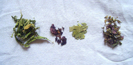 L'usage des plantes : principes de base -1- L'usage des plantes : principes de base -1-