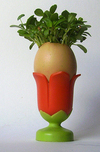 De petits jardins d'intérieurs rigolos ! De petits jardins d'intérieurs rigolos !