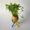 De petits jardins d'intérieurs rigolos ! De petits jardins d'intérieurs rigolos !