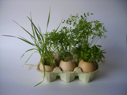 De petits jardins d'intérieurs rigolos ! De petits jardins d'intérieurs rigolos !