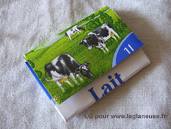 Je fabrique mon porte monnaie avec une brique de lait !