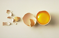 Je connais tout sur l'oeuf Je connais tout sur l'oeuf