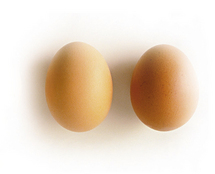 Je connais tout sur l'oeuf Je connais tout sur l'oeuf