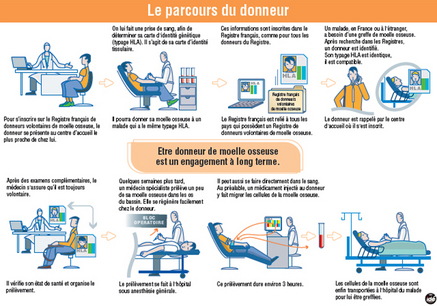 Je donne ma Moelle Osseuse. Je donne ma Moelle Osseuse.