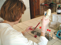 Je donne ma Moelle Osseuse. Je donne ma Moelle Osseuse.