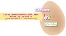 Le guide du consommateur dur à cuire : les bons œufs.