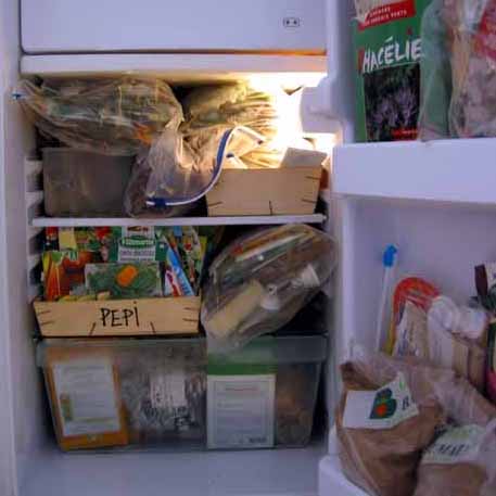 Je minimise les dépenses créées par mon frigo !