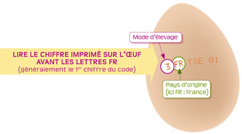 Le guide du consommateur dur à cuire : les bons œufs.