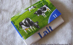 Je fabrique mon porte monnaie avec une brique de lait ! Je fabrique mon porte monnaie avec une brique de lait !